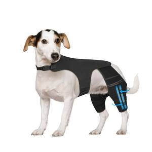 lot 16199 image: Marnonsis Dog Knee Brace for Torn Acl Hind Leg, 4 Stabilizers for Back Leg, Adjustable Hip Support to Reduces Pain, Ligament Injuries & Luxating Patella for Small Medium Large Dogs, S