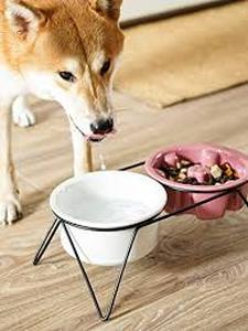 lot 1519 image: Cat bowl and water food bowls stand