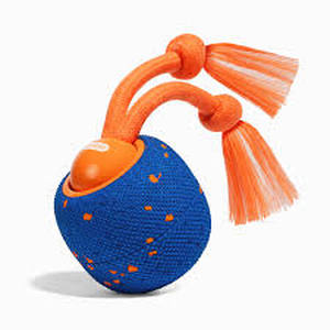 lot 2218 image: Wicked Ball Rollie for dogs dog chew toy