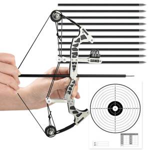 lot 4253 image: Archery Bow Set Compound Bow Stainless Steel Training Bow Outdoor Sports Hunting Cool Stuff Professional Competition