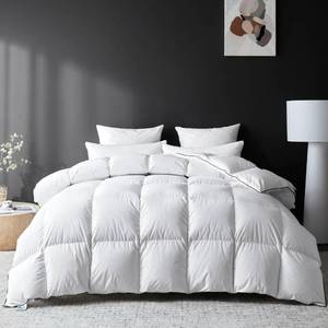 lot 6189 image: LESNNCIER Goose Feather Down Fiber Comforter Queen Size, Premium All Season Fluffy Duvet Insert, 100% Cotton Hotel Bedding Comforter Medium Warmth Duvet Insert (90 x 90in, White)