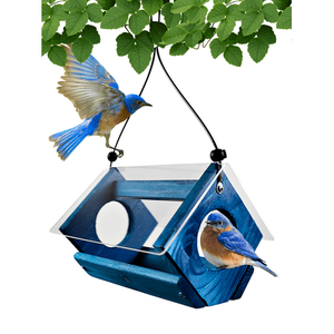 lot 7640 image: Backyard Essentials Bluebird Feeder Bird Seed and Mealworms Bird Feeder Blue