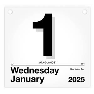lot 8164 image: AT-A-GLANCE 2025 Today Is Daily Wall Calendar Refill, 8 12 x 8, Large (K45025)