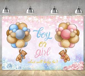lot 8189 image: Gender Reveal Decoration- Baby Bear Boy or Girl Backdrop,Bear Baby Shower Pink and Blue Photo Booth Background for Boy Girls Gender Reveal Party Decoration