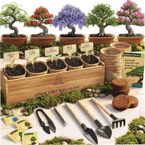 lot 11288 image: Planters Choice Bonsai Tree Starter Kit - Unique Easter Gifts for Women, Men - Birthday Gifts for Adults - Indoor Live House Plants - DIY for Adults Craft Kits - Hobby Gift for Gardening Lovers