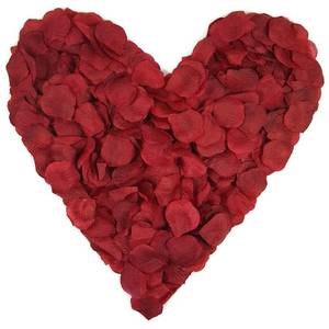 lot 12096 image: 1000 Pieces Burgundy Artificial Silk Rose Petals Flower Decoration Wedding Party Color Burgundy
