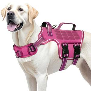 lot 20138 image: Dog Harness for Large Dogs Heavy Duty, No Pull Tactical Dog Harness with Molle System, Easy On and Off Service Dog Vest, Breathable Padded, Adjustable Reflective Pet Vest for Walking Hiking Training