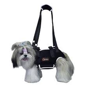 lot 12069 image: Lispoo Dog Harness Black Size M