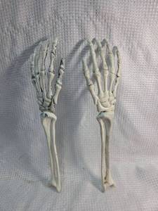 lot 171 image: Plastic Hand Skeleton Model