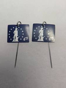 lot 196 image: 6th War Loan Drive Patriotic Pins