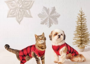 lot 42731 image: Wondershop Holiday Pet Collection - Green Bandana and Red Plaid PJs