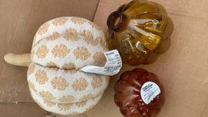 lot 42756 image: Decorative Fall Pumpkin Set with Glass Vases