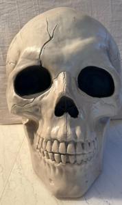 lot 42778 image: Large Decorative White Skull