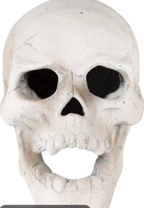 lot 42786 image: BUNDLED pkg-2 Hyde & EEK Halloween Decorative Skull