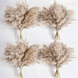 lot 15581 image: 40 PCS Nature Pampas Grass Bouquet Decor - Boho Flowers and Feathers for Centerpieces, Perfect for Floor Vase Fillers, Home Decor, Living Room, and Wedding Decor - Retail $16