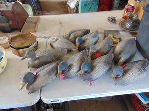 lot 2450 image: Selection of Duck Decoys