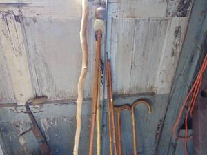 lot 2567 image: Selection of Walking Canes - Challenger