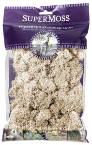 lot 4125 image: SuperMoss (21702) Reindeer Moss Preserved, 120 cu. in., Natural&nbsp&nbsp