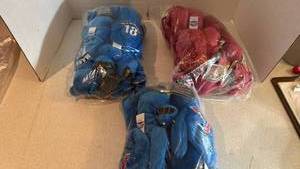 lot 1261 image: Premium pro bears