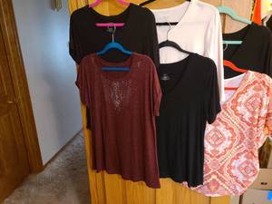 lot 1517 image: Ladies shirts, L and XL.