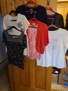 lot 1519 image: Ladies shirts, L and XL.