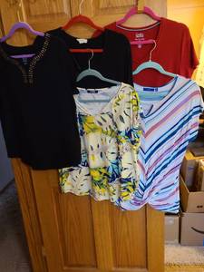 lot 1520 image: Ladies shirts, L and XL.