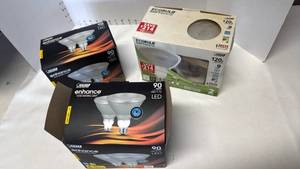 lot 3335 image: LED bulbs and Ecobulb