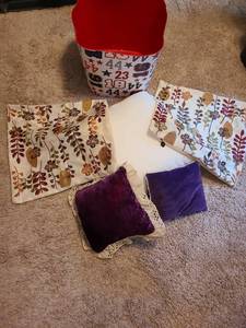 lot 7068 image: Throw pillows with shams and tub.