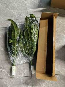 lot 3168 image: 45Inch Artificial Boston Fern Bush 2PCS