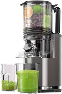 lot 3222 image: J8 Cold Press Juicer, 6.5 Extra Wide Feed Chute Juicer Machines, 350W Slow Juicer Machines with High Juice Yield for Whole Vegetables & Fruits, BPA Free (Titanium Gray)