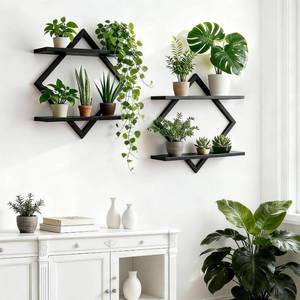 lot 5168 image: Set of 2 Wall Plant Holder Wall Planters for Indoor Plants Window Plant Shelves Plant Stand Indoor Floating Wall Shelves for Plant Hanger Indoor for Plants, Books, Photos Wall Decor (Black)