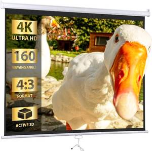 lot 5260 image: SUPER DEAL 72 43 HD Projection Screen Foldable Anti-Crease Portable Projector Movie Screen Manual Pull Down for Home Theater Presentation Education Outdoor Indoor Public Display, White