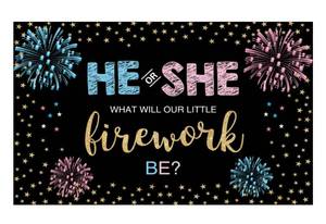 lot 544 image: Funnytree Gender Reveal Backdrop He or She Party Fourth of July Blue or Pink Boy or Girl Banner Decoration Stars Photography Background Photobooth Supplies Prop - Retail $14