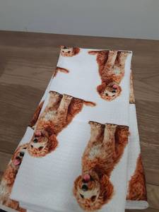 lot 642 image: Kitchen Dish Towel - Retail $0