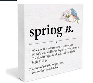 lot 40159 image: Spring Definition Wall Art Block - Retail $18