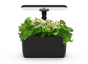 lot 25967 image: AeroGarden Harvest Lite in Black, Soil-Free Indoor Hydroponic Garden with LED Grow Light for Year-Round Gardening of up to 6 Herbs and Vegetables - Retail $75