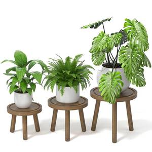 lot 25978 image: Vecxoty 3-Pack Wood Plant Stands Indoor, Single Plant Stand for 6-12 Inch Pots, Mid-Century Modern Plant Stool, Tall Plant Stand for Large Plants for Living Room, Balcony, Office (Dark Gray) - Retail $30