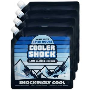 lot 30162 image: 4 Mid-Size Cooler Freeze Packs 10x10 inch Screw Cap. The Coldest Pack at 18 Degrees F. No Ice Needed, Reusable. You Add Water & Save. C.S. Brand Packs Have 4,000 Reviews Avg. 4.6 Stars - Safe USA Made (Funnel Not Included) - Retail $30