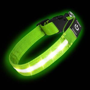 lot 30224 image: Super Bright LED Dog Collar - Fully Waterproof & Adjustable Glow Collar - USB-C Rechargeable for Night Walking, Safety - Flashing Lighted Collar for Dogs(Green,Medium) - Retail $17