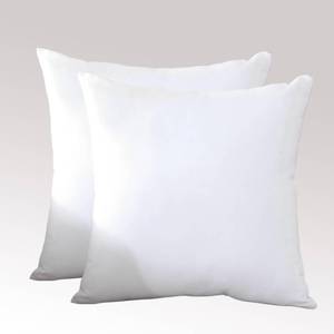 lot 40200 image: TAOSON Set of 2, 100% Cotton Soft Square Decorative Throw Pillow Protector Covers Sofa Solid Colors Couch Cushion Covers Pillow Cases with Hidden Zipper Only Cover No Insert - White 20 x 20 inch - Retail $14