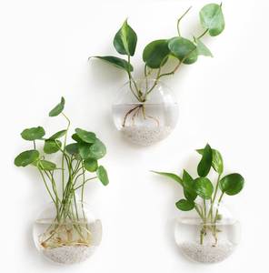 lot 59134 image: Mkono Wall Hanging Planter Propagation Station Glass Flower Vase for Hydroponics Plants, Bathroom, Home Office Living Room Decor Gift, Oblate Set of 3 - Retail $22