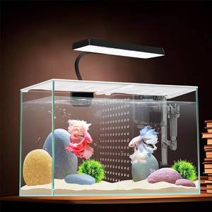 lot 25572 image: 3 Gallon 12.6 L Fish Nano Glass Aquarium, with Separator Plate for Betta, Multi-Functional Square Fish Tank with Filter, LED Light, White 4mm Glass - Retail $50