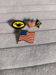lot 2212 image: American Flag and Deals Gap Lapel Pin Collection
