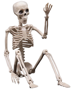 lot 42030 image: Spooky Posable Skeletons Toy for Halloween Decorations Outdoor Indoor Mini Small Skeletons Hanging Decor with Movable Joints Halloween Decor Party Accessories