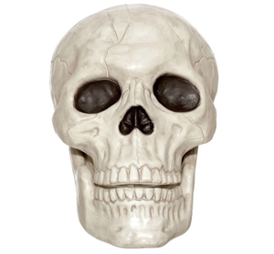 lot 42082 image: 10-inch Decorative Halloween Skull