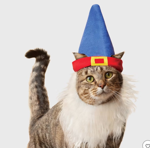 lot 43001 image: Halloween Pet Costume & Toy Bundle