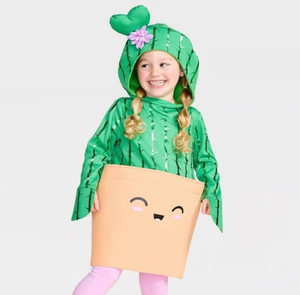 lot 42145 image: Potted Cactus Halloween Costume 4T5T