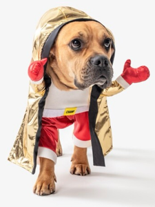 lot 42161 image: Boxing Champion Pet Costume, XL