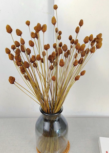 lot 43015 image: Room Essentials Black Ceramic Ball Vase with Dried Pinecone Stems