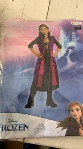 lot 43038 image: Disney Frozen 2 Anna Costume Dress
